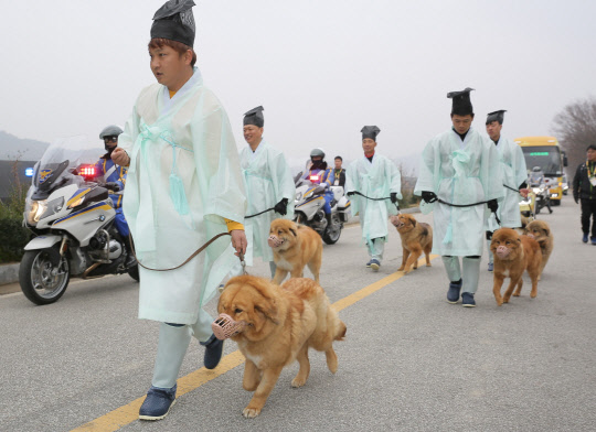 유림복장의 견주들이 29일 전북 임실군 오수면 오수의견공원 일대에서 반려견과 함께 2018평창올림픽 성화 봉송 대열에 참여하고 있다.